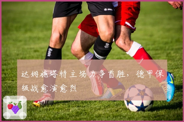 达姆施塔特主场力争首胜，德甲保级战愈演愈烈