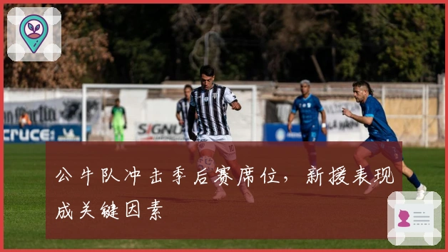 公牛队冲击季后赛席位，新援表现成关键因素