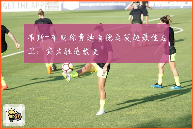 韦斯-布朗称费迪南德是英超最佳后卫，实力胜范戴克