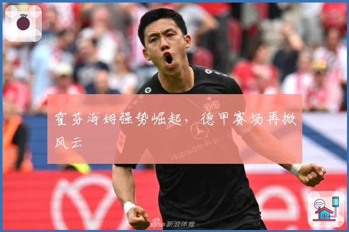 霍芬海姆强势崛起，德甲赛场再掀风云